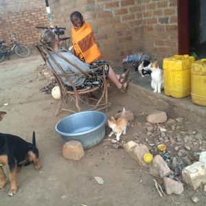 Meet your Posher, Jane